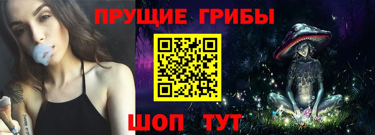 Псилоцибиновые грибы прущие грибы Курск
