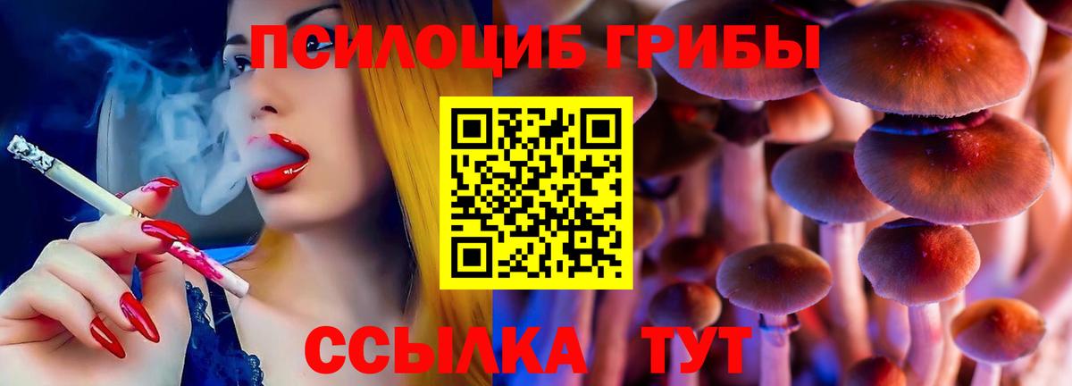 Курск  Псилоцибиновые грибы Magic Shrooms  Вход с VPN 